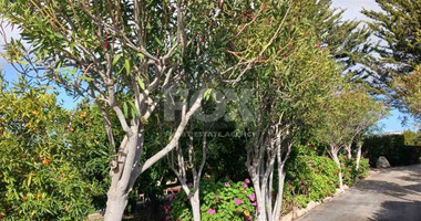 Three bedroom Villa for rent in Polis Area