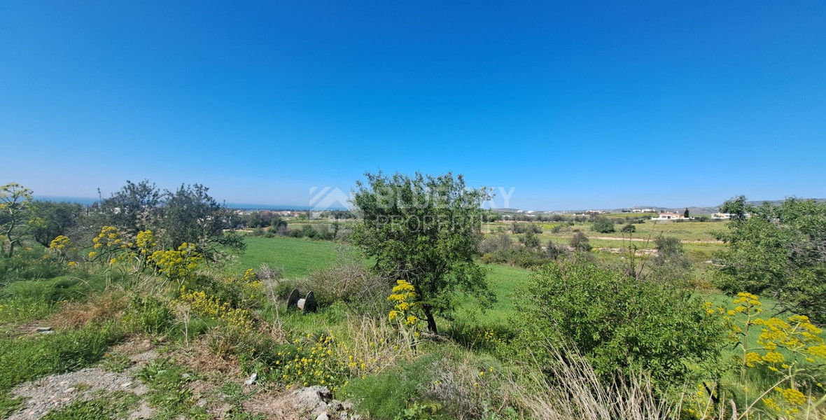 Residential land in Anarita village, Paphos