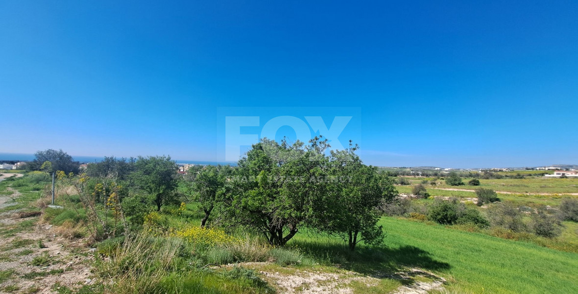 Residential land in Anarita village, Paphos