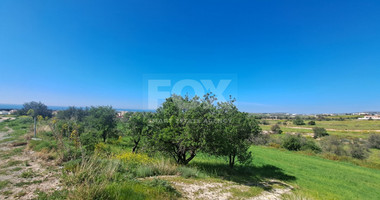Residential land in Anarita village, Paphos