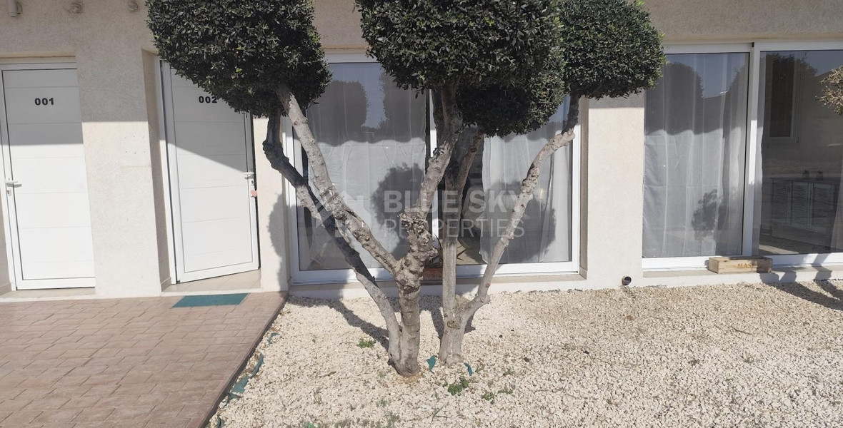 Modern Fully Furnished Ground Floor Apartment  for rent in Zakaki