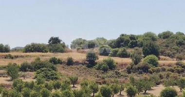 Agriculture land for sale in Agios Therapon, Limassol