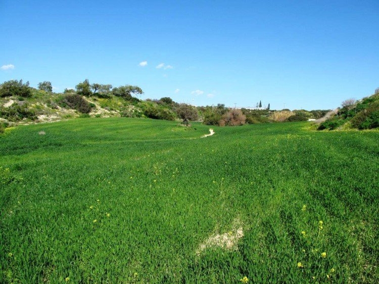 Property for sale in Kalavasos Cyprus, price 600,000 EUR