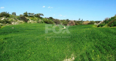 Land  For Sale In Kalavasos Larnaca Cyprus