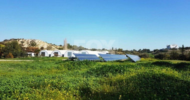 Land  For Sale In Kalavasos Larnaca Cyprus