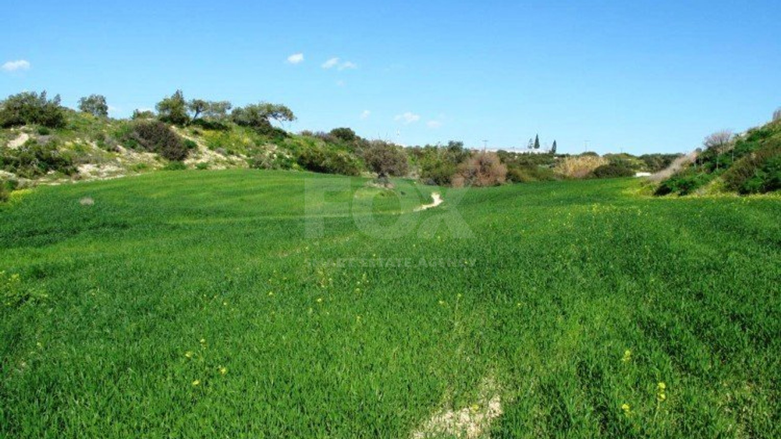 Land  For Sale In Kalavasos Larnaca Cyprus