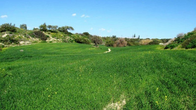 Land  For Sale In Kalavasos Larnaca Cyprus