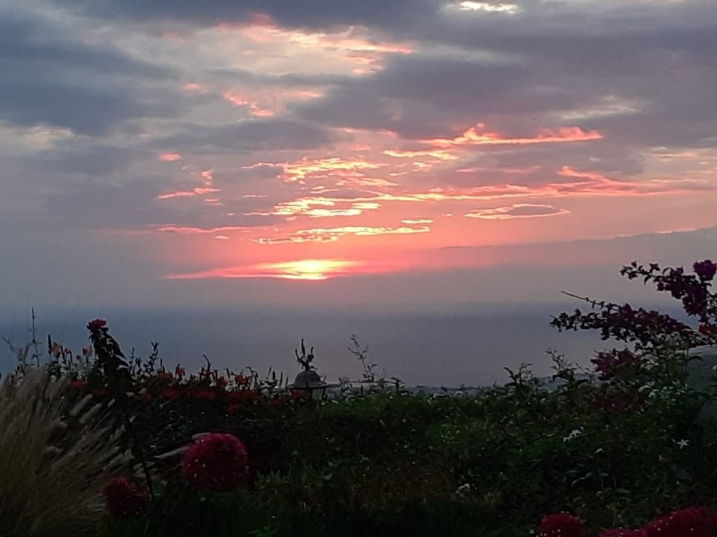 Casa 5 habitaciones 250 m² en Pafos, Chipre