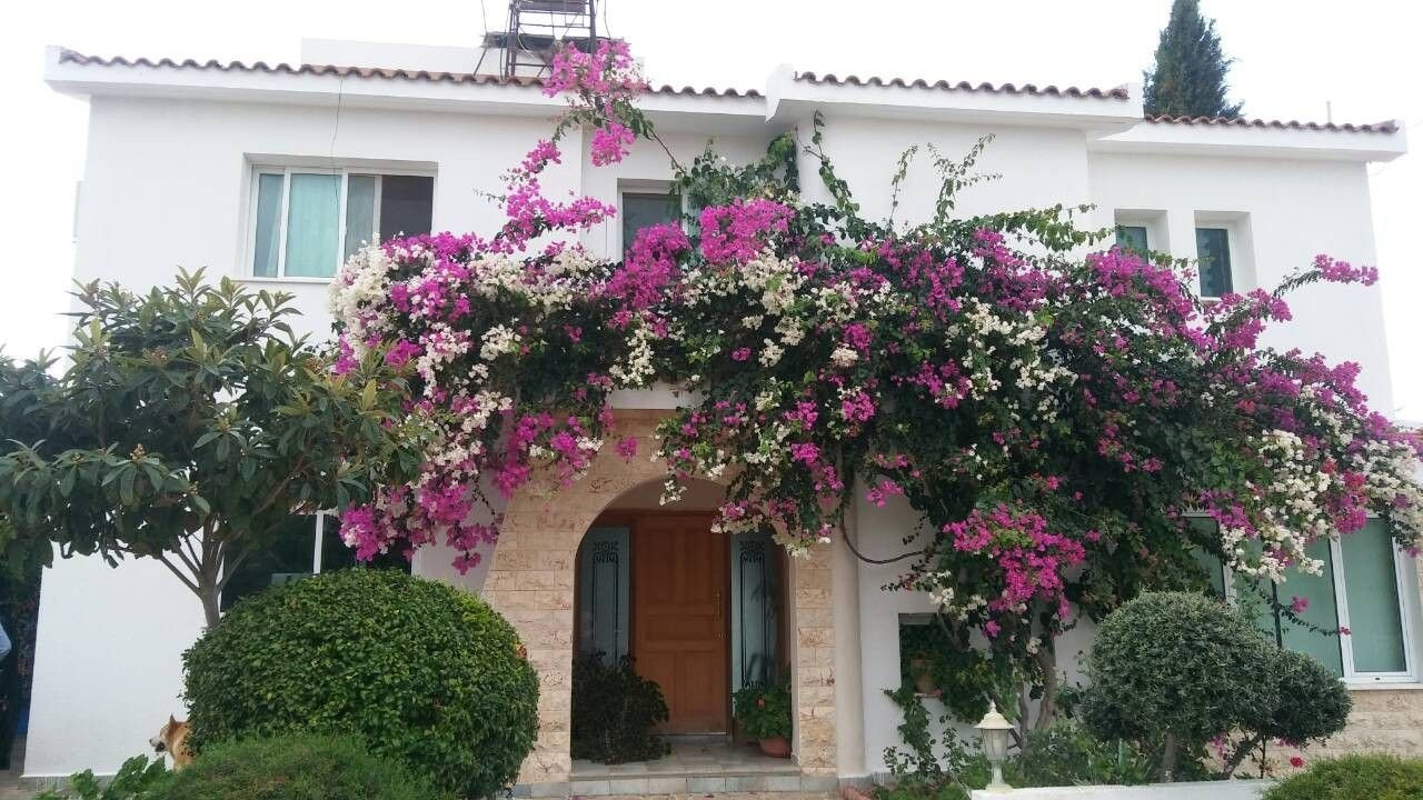 Casa 5 habitaciones 250 m² en Pafos, Chipre