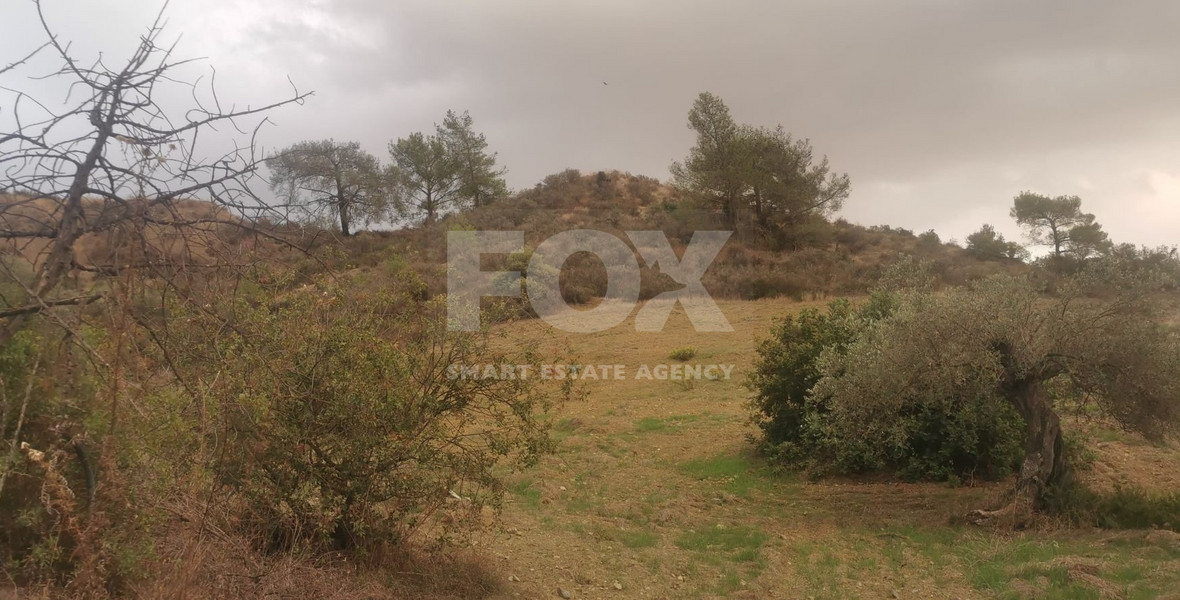 Land for sale  in Agios Therapon, Limassol