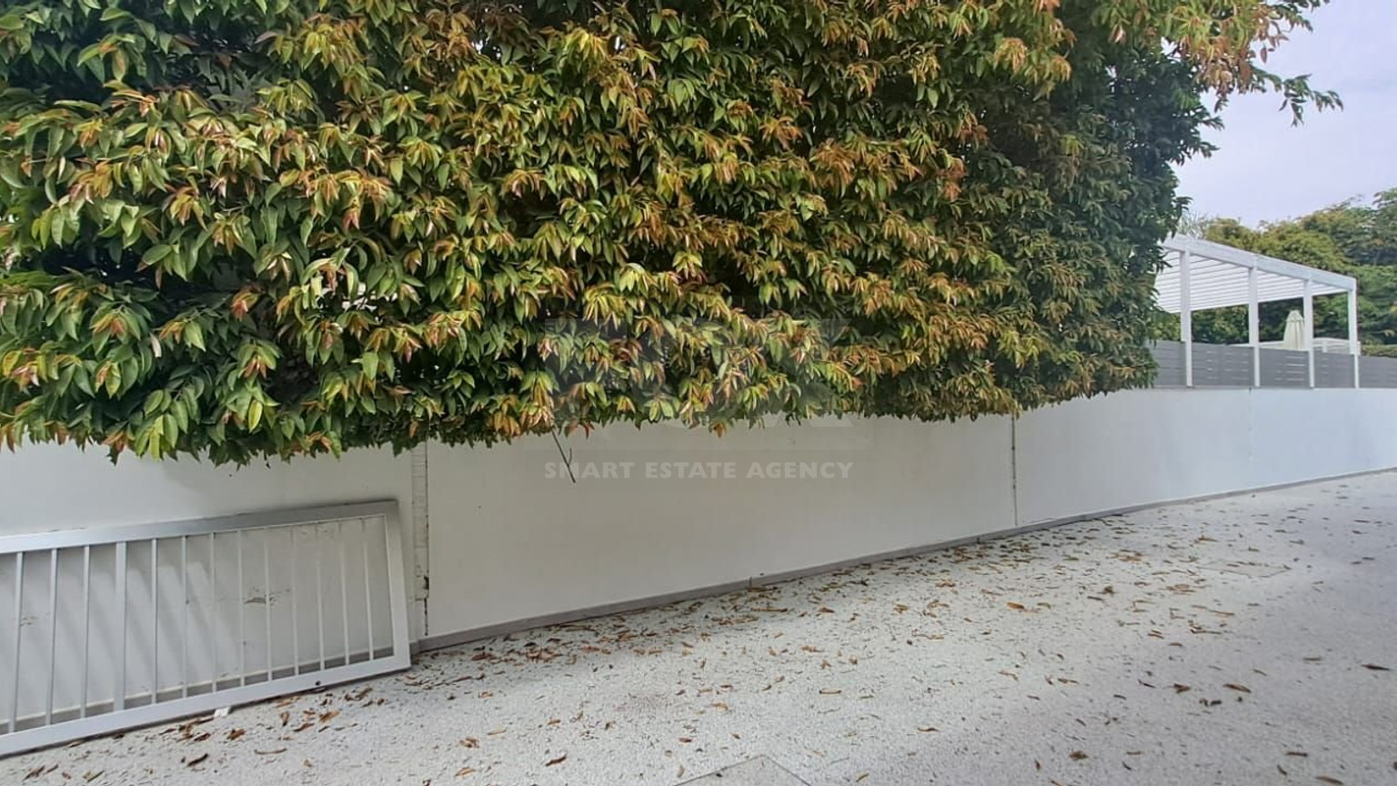 Five bedroom hidden gem by the sea, Governor's Beach, Limassol