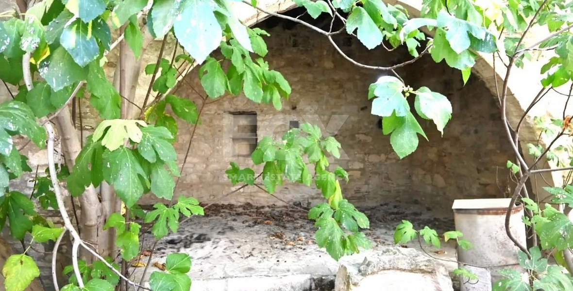 For Sale Spacious 3 Bedroom Detached House in Vasa Koilaniou
