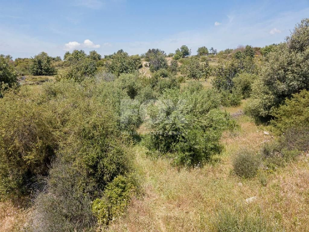 Share of residential land in Souni Zanakia, Limassol