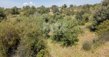 Share of residential land in Souni Zanakia, Limassol