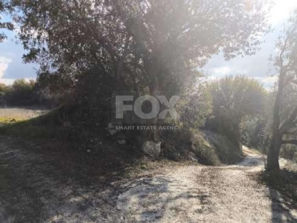 Residential Field in Kinousa, Paphos