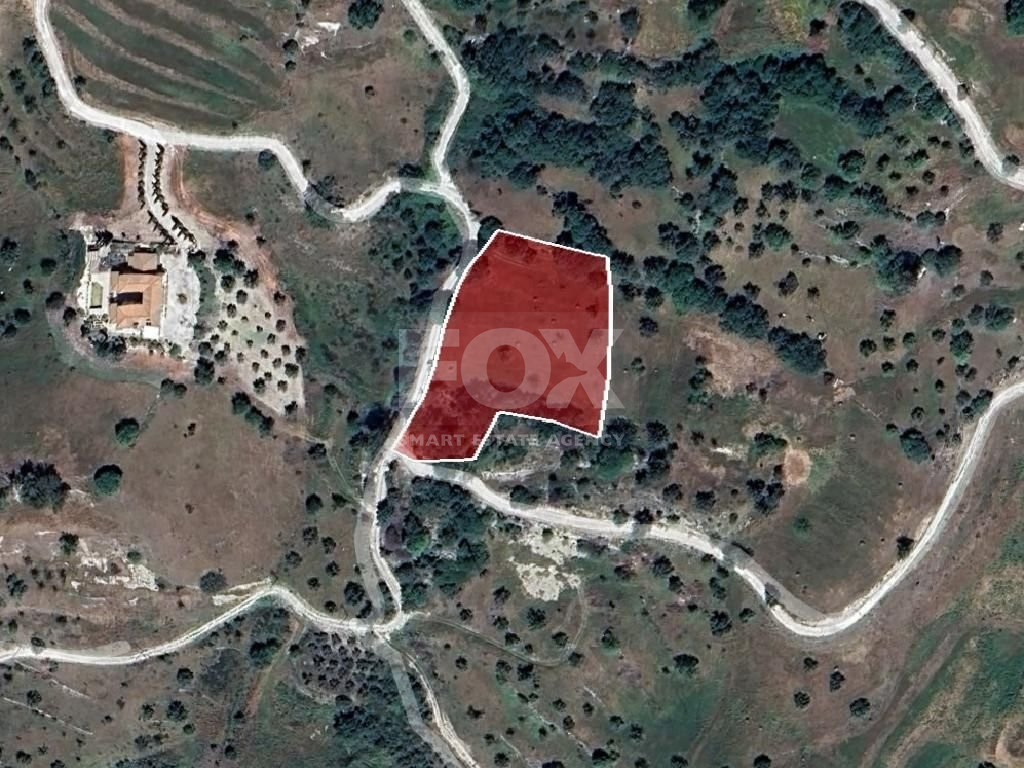 Residential Field in Kinousa, Paphos
