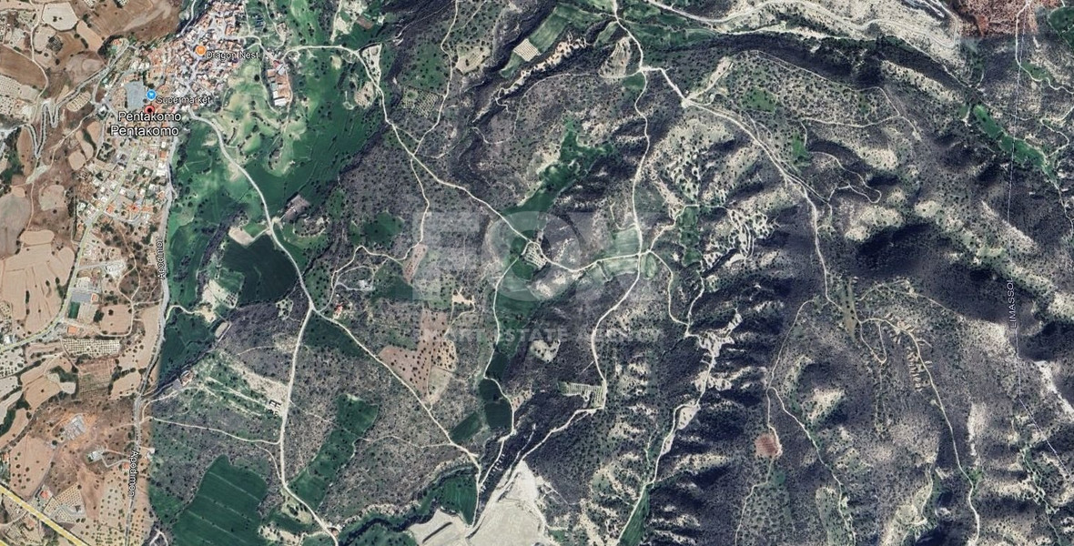 Large 5686 m2 Field  for Sale in Pentakomo