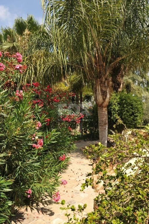 Charming 3-Bedroom Villa with Pool, Sea & Mountain Views