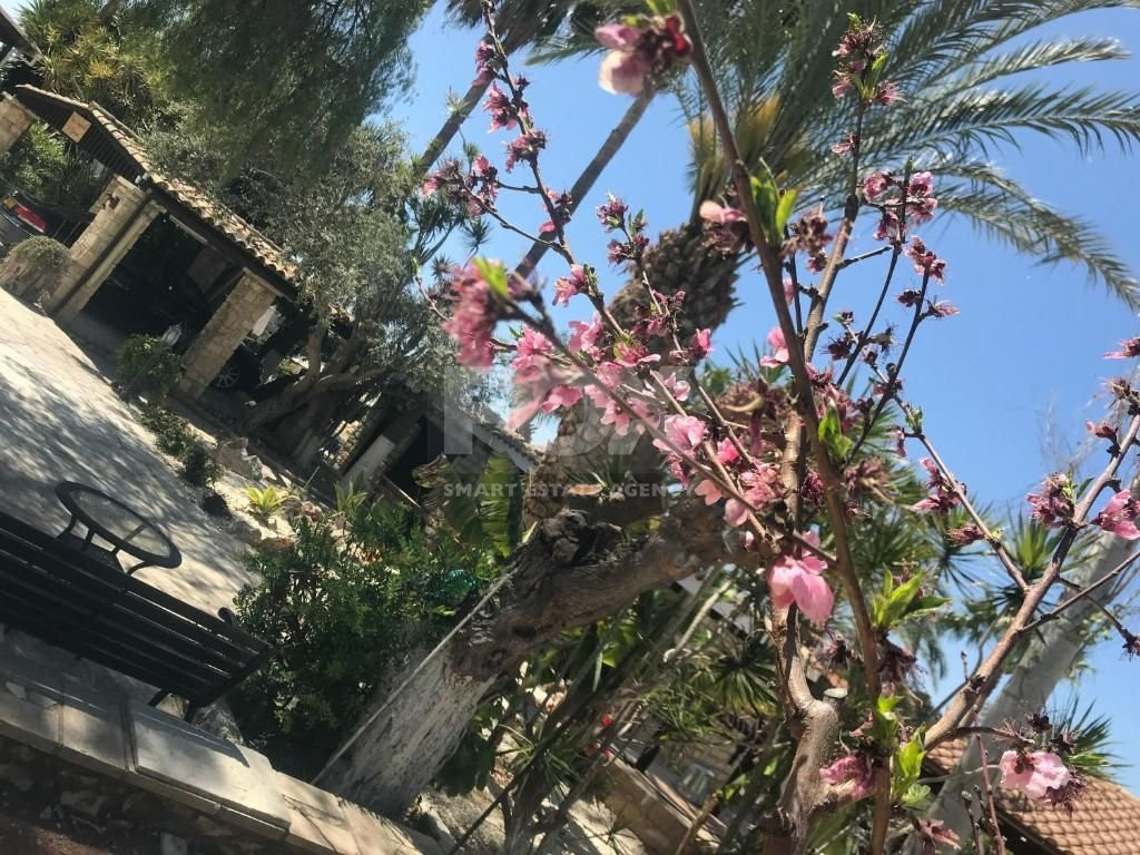Deluxe Suite One Bedroom for rent in Anarita, Paphos