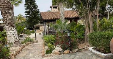 Deluxe Suite One Bedroom for rent in Anarita, Paphos