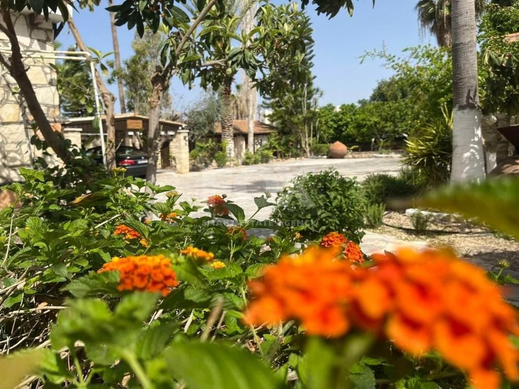 Deluxe Suite One Bedroom for rent in Anarita, Paphos