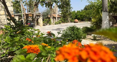 Deluxe Suite One Bedroom for rent in Anarita, Paphos