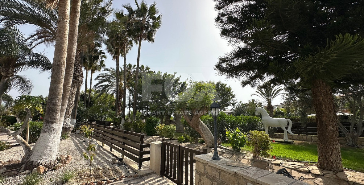 Deluxe Suite One Bedroom for rent in Anarita, Paphos