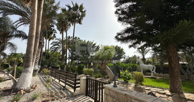 Deluxe Suite One Bedroom for rent in Anarita, Paphos