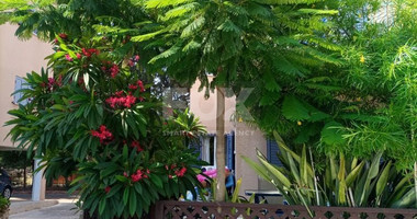 Three Bedroom Townhouse For Rent in Kato Paphos