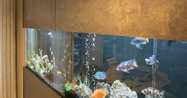 SALE: LUXURY HOUSE 3 BEDROOMS & 3 BATHROOMS WITH GARDEN IN PAPAS AREA OF LIMASSOL