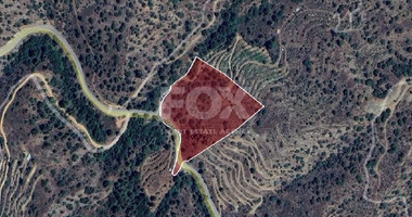 Agricultural land for sale in Kalo Chorio village,  Limassol