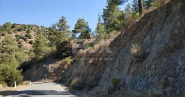 Agricultural land for sale in Kalo Chorio village,  Limassol