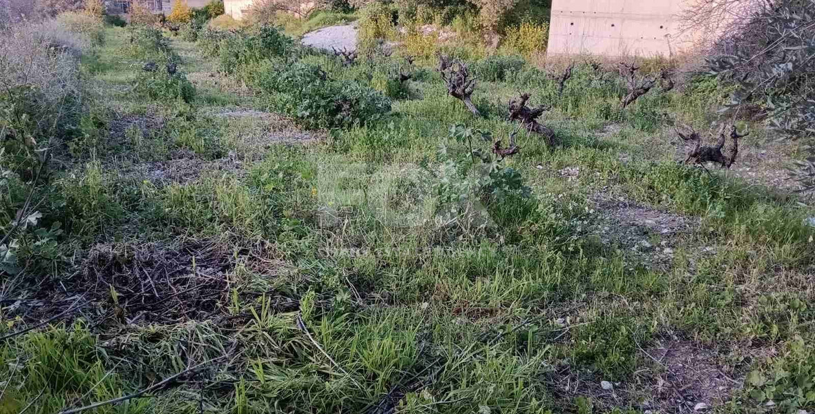 Residential land for sale  in Doros village, Limassol