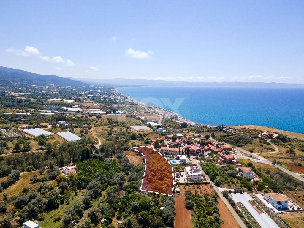 Residential Field for sale in Nea Dimmata area , in Paphos
