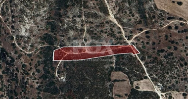 Agriculture land for sale in Avdimou, Limassol