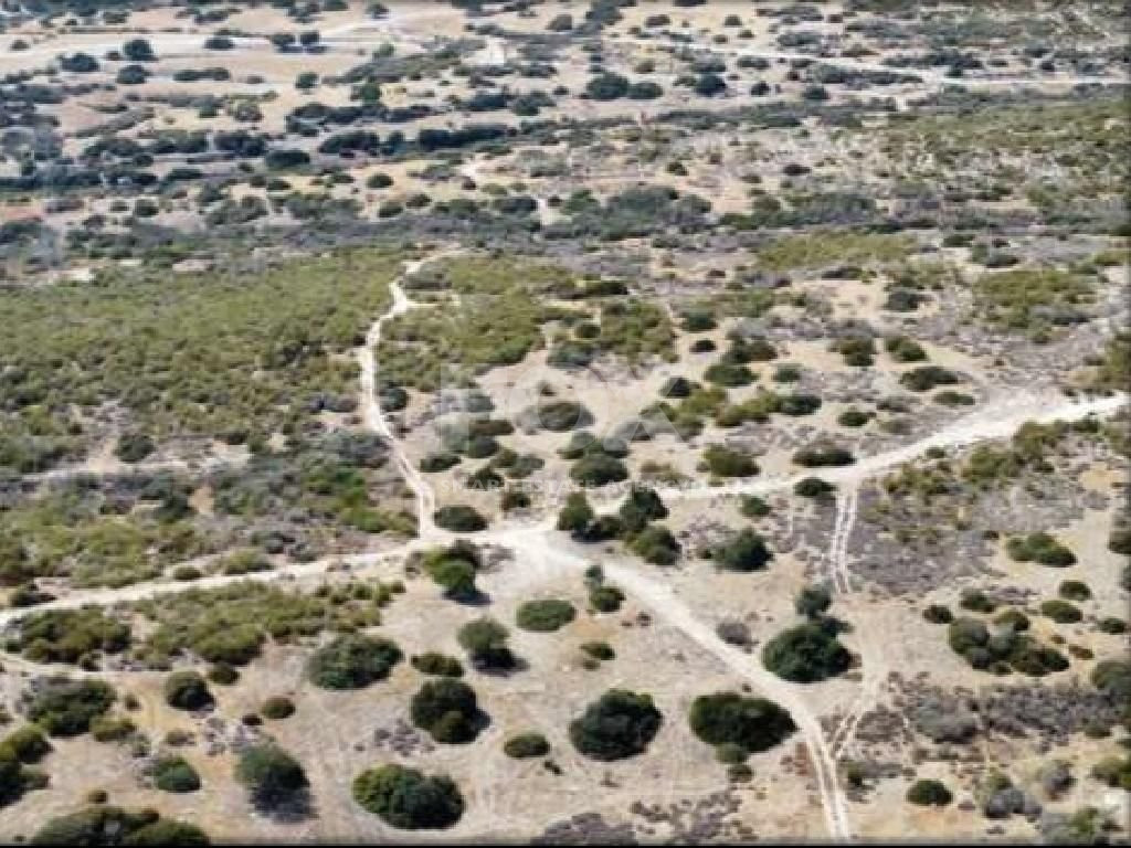 Agriculture land for sale in Avdimou, Limassol