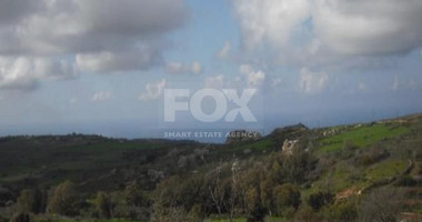 Residential field in Ineia Community of Paphos