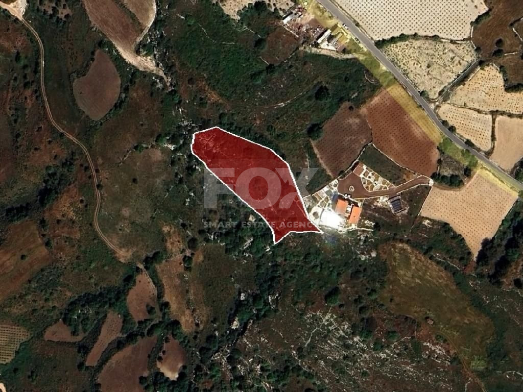Residential field in Ineia Community of Paphos