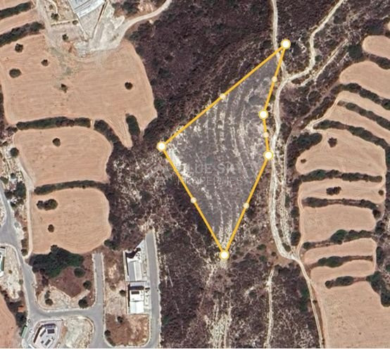 Large Development Land for Sale in Palodia