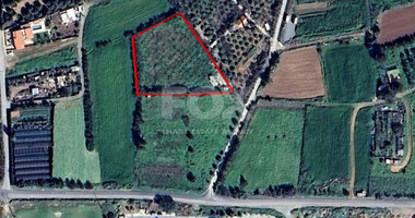 Agricultural Land for sale in Ypsonas