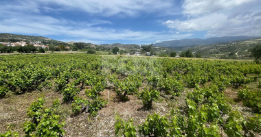 Large Residential Plot for Sale in Beautiful Omodos