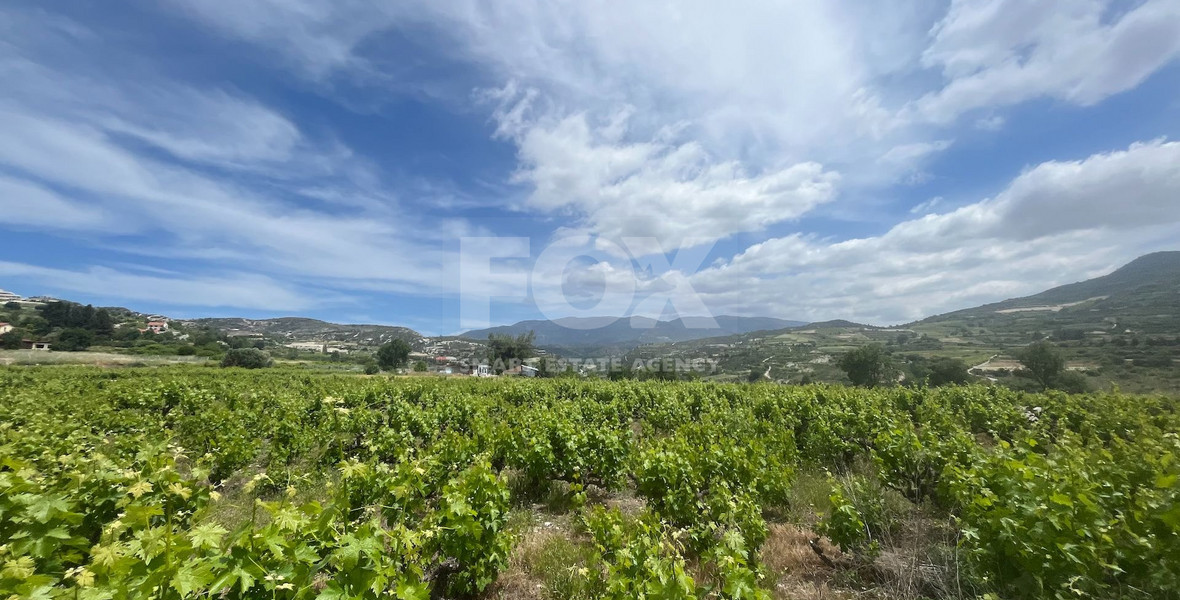 Large Residential Plot for Sale in Beautiful Omodos