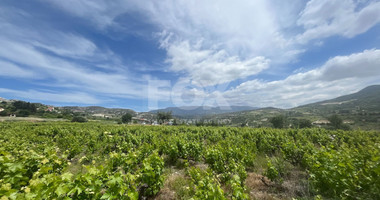 Large Residential Plot for Sale in Beautiful Omodos