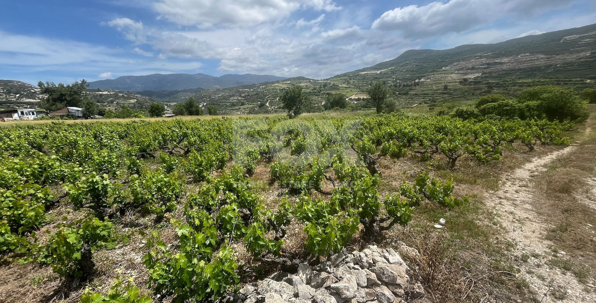Large Residential Plot for Sale in Beautiful Omodos