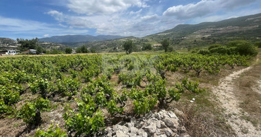 Large Residential Plot for Sale in Beautiful Omodos