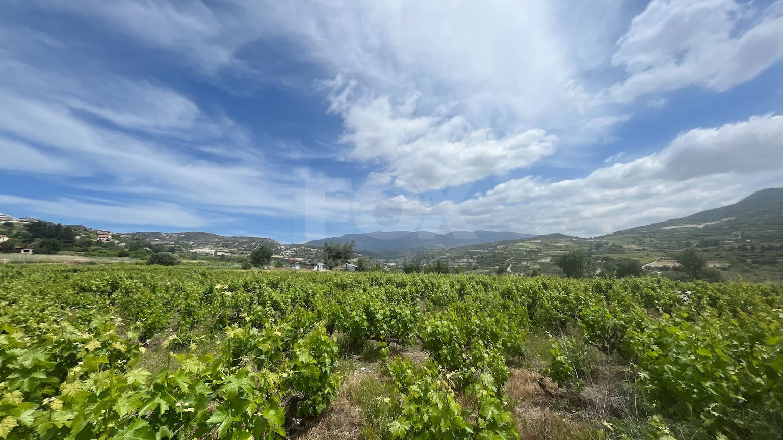 Large Residential Plot for Sale in Beautiful Omodos