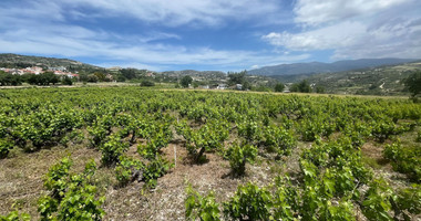 Large Residential Plot for Sale in Beautiful Omodos
