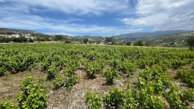 Large Residential Plot for Sale in Beautiful Omodos