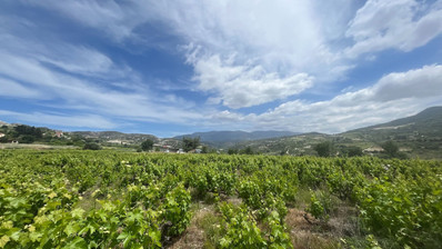 Large Residential Plot for Sale in Beautiful Omodos