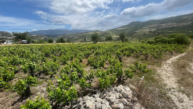 Large Residential Plot for Sale in Beautiful Omodos